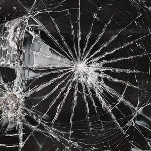 Meet your Posher, Ron